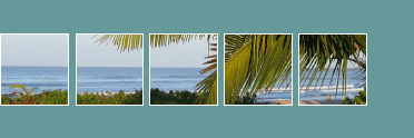 Real Estate Sales Development and Investment Opportunities in Guiones, Nosara, Guanacaste, Costa Rica